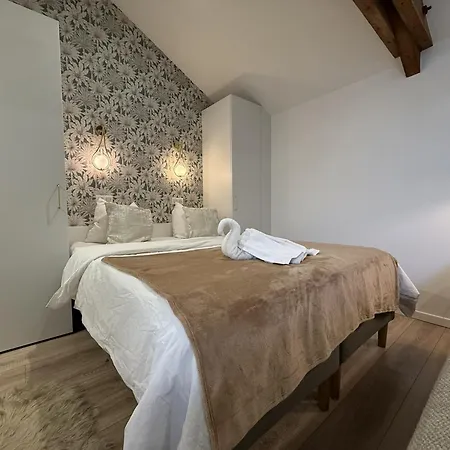 Petite Merveille Sous Les Toits