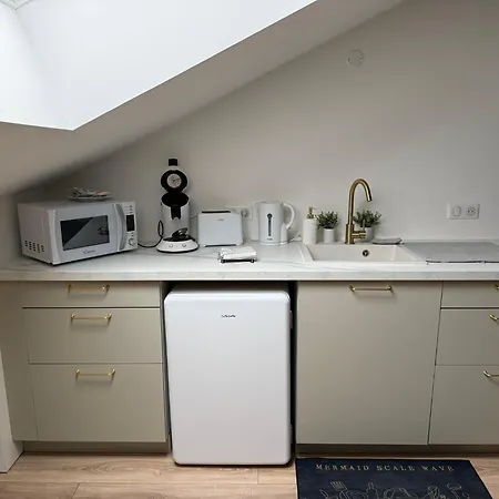 Petite Merveille Sous Les Toits Apartment Dijon