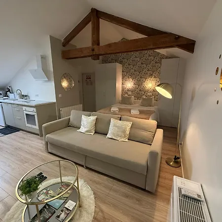 公寓 Petite Merveille Sous Les Toits - Centre De