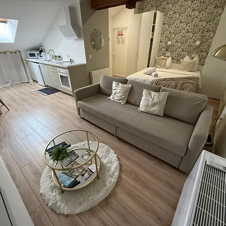 Apartamento Petite Merveille Sous Les Toits - Centre De Dijon