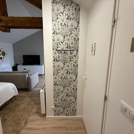 Petite Merveille Sous Les Toits - Centre De Apartamento
