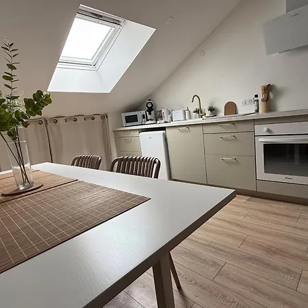 Apartamento Petite Merveille Sous Les Toits - Centre De Dijon