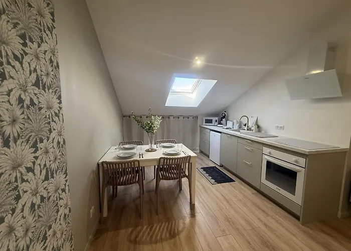 Petite Merveille Sous Les Toits * Dijon