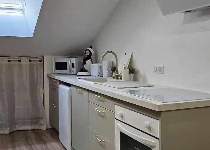 Appartement Petite Merveille Sous Les Toits