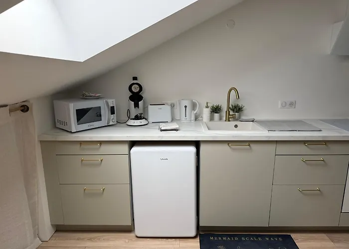Petite Merveille Sous Les Toits Appartement Dijon